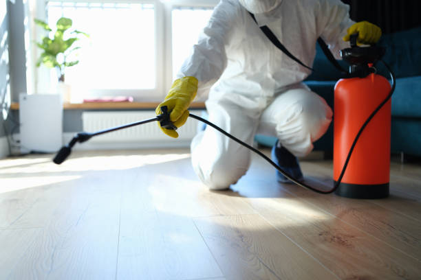 Reliable Biohazard contractor in Independence, VA by Trauma Clean Pros